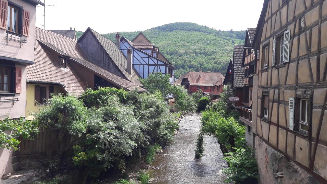 4 Gites Individuels A Kaysersberg Bagian luar foto